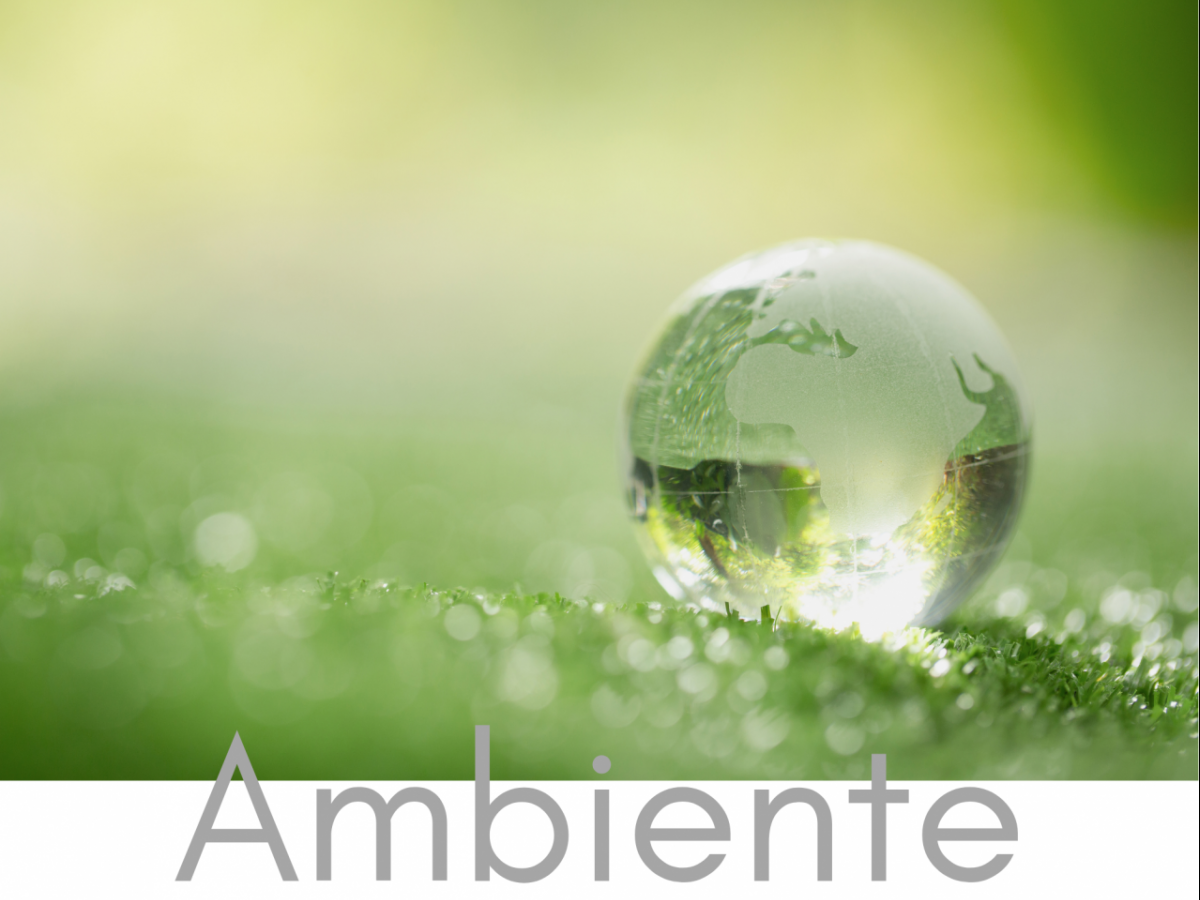 Consulenza ambientale